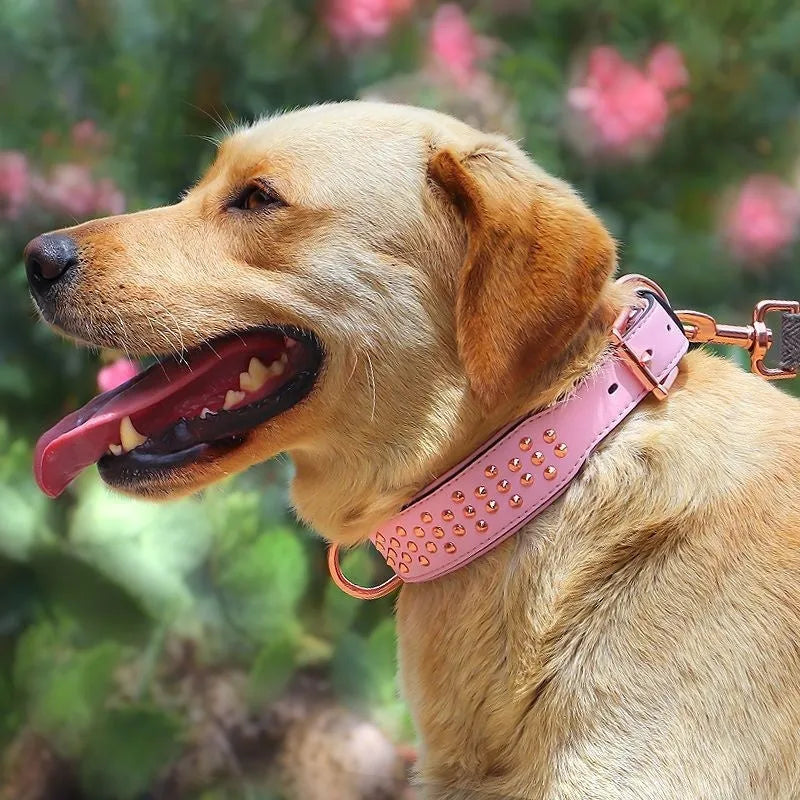 Leather dog collar with metal rivets in black, chocolate, or pink for large breed training