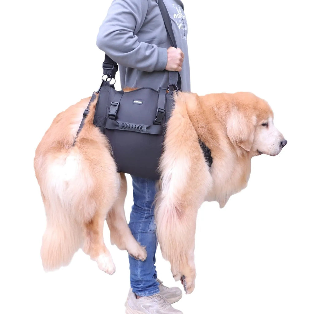 Black Oxford cloth adjustable dog harness for chest support, shown in multiple sizes.