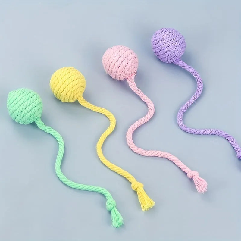 Cat toy ball with rope in four colours: green, pink, purple, and yellow