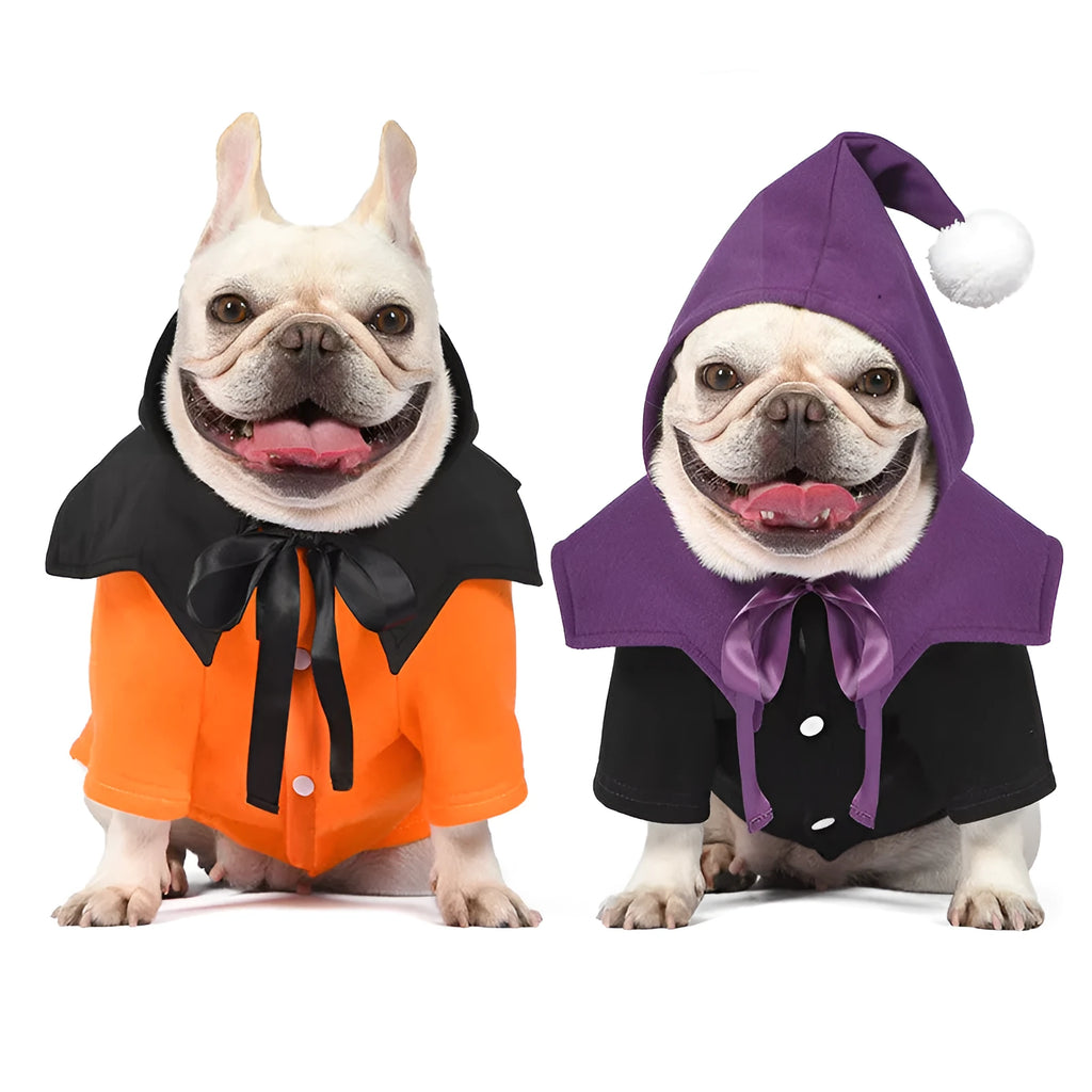 Halloween pumpkin costume on dog showing black and orange cotton sweater with matching shawl