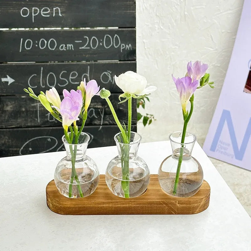 Transparent hydroponic vases in wooden frame holder for plant propagation