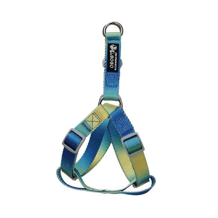 Nylon dog leash and harness set in pink and blue gradient colour, showing collar, leash, and chest strap components.