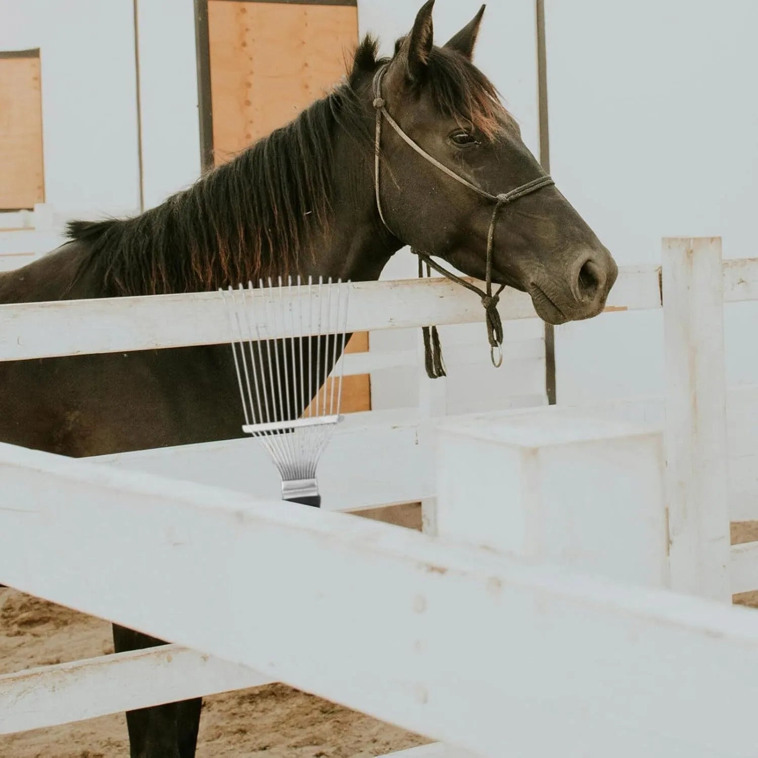 Black stainless steel dematting brush rake for grooming horses and dogs, measuring 33 cm.