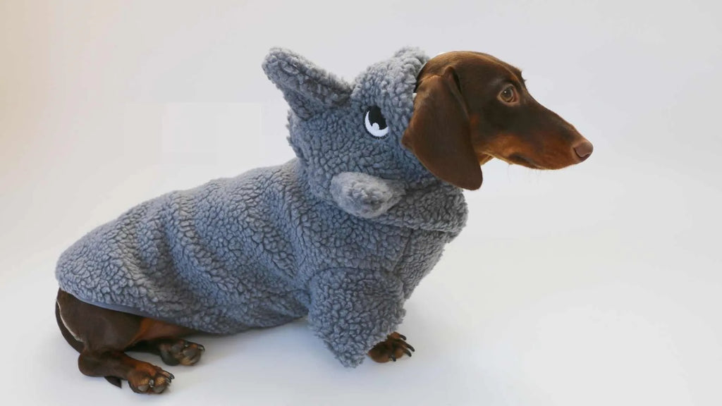 Grey fleece-lined hooded shark sweater for small to large dogs and cats, winter pet clothing