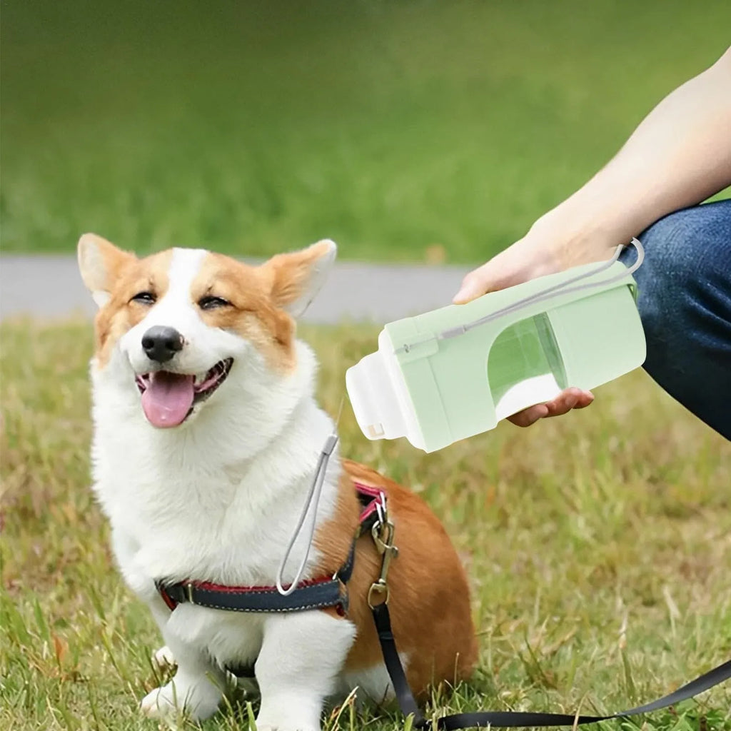 Grey portable 2-in-1 dog water bottle and feeder with drinking cup and lanyard