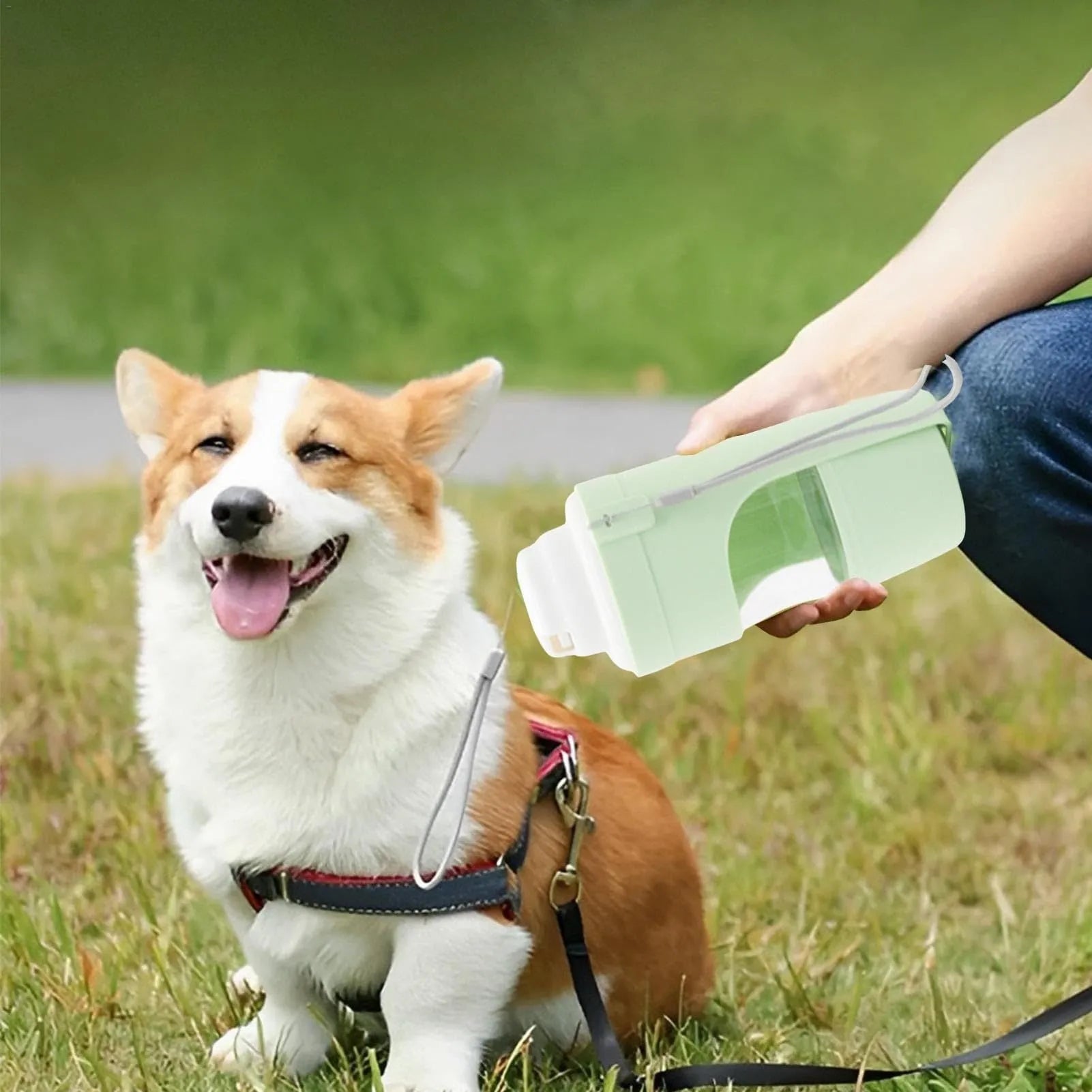 Grey portable 2-in-1 dog water bottle and feeder with drinking cup and lanyard