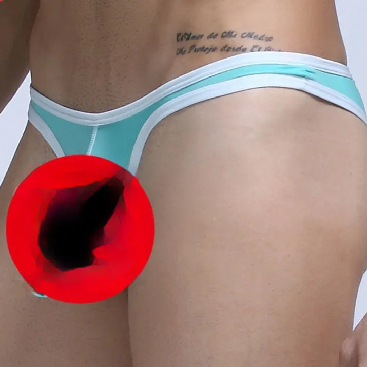 Men's ice silk nylon briefs in elephant nose style, shown in multiple colours.