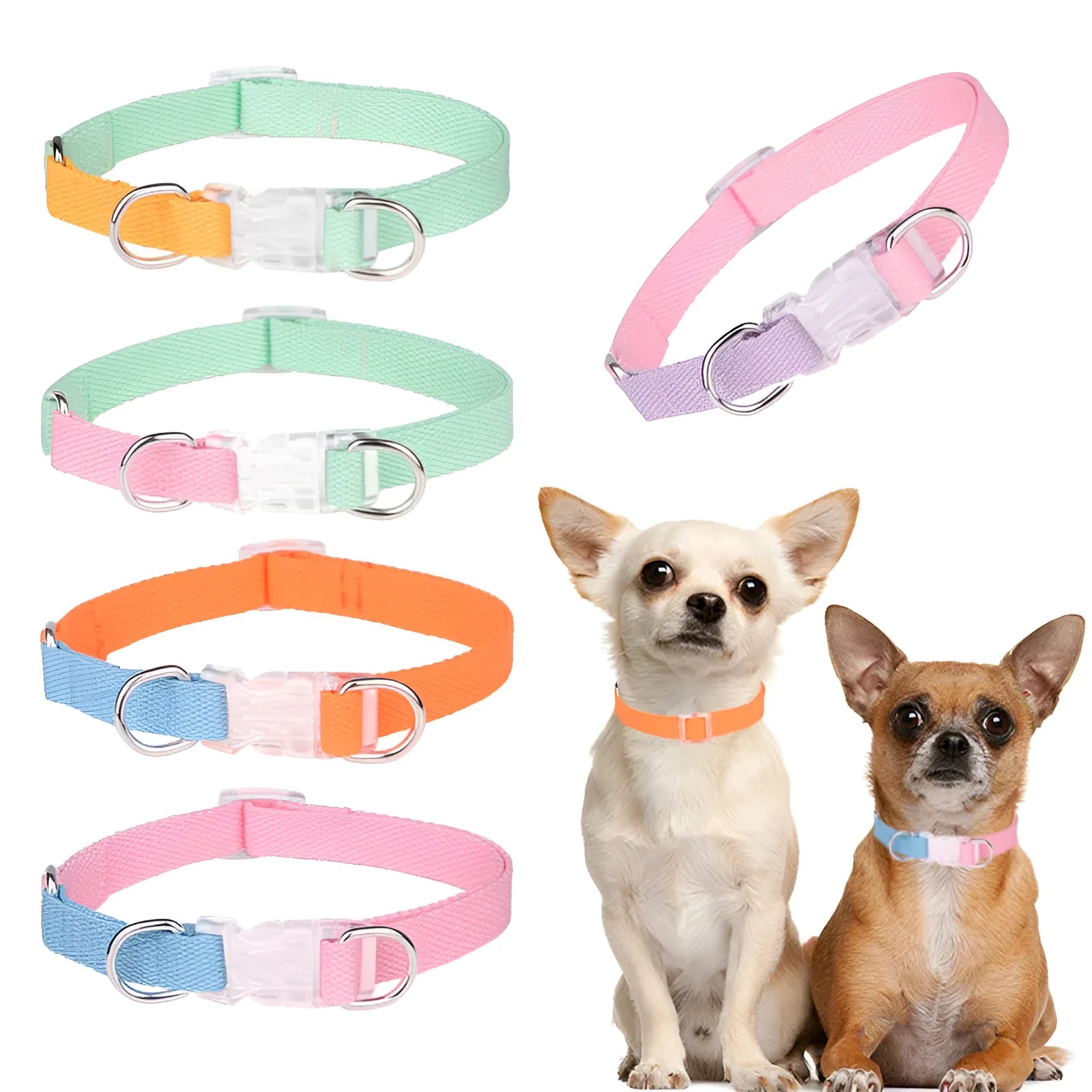 Polyester ribbon dog collar set showing collar, chest strap and traction rope in matching colours