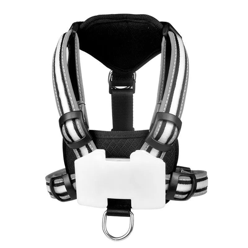 Nylon dog lead with luminous seven-colour changing strap and charging cable for pet safety