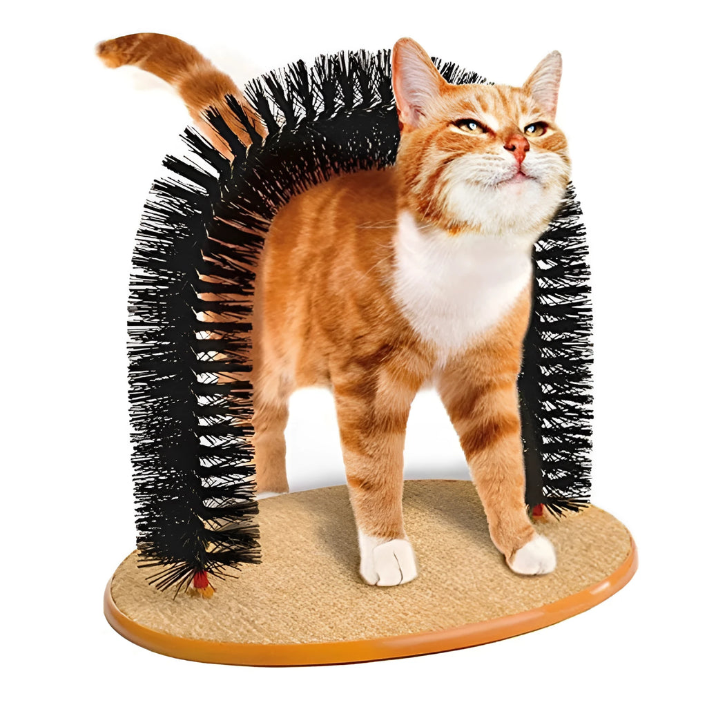 Plastic arch cat grooming station with built-in brush bristles for scratching and rubbing