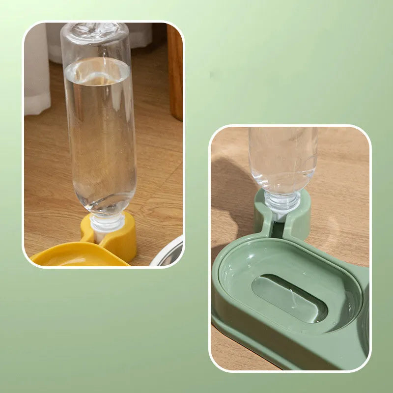 Elevated cat food bowl with water dispenser bottle in green colour