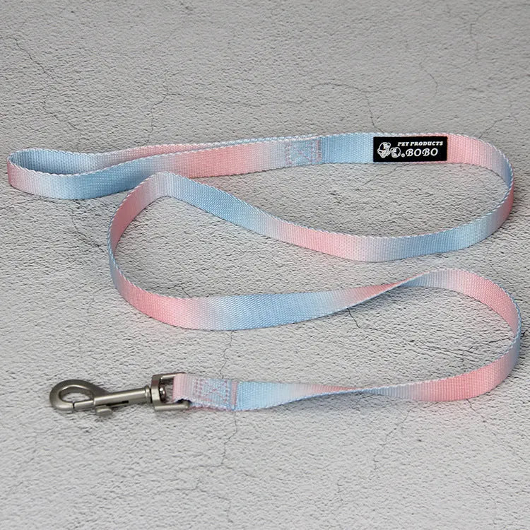 Nylon dog leash and harness set in pink and blue gradient colour, showing collar, leash, and chest strap components.