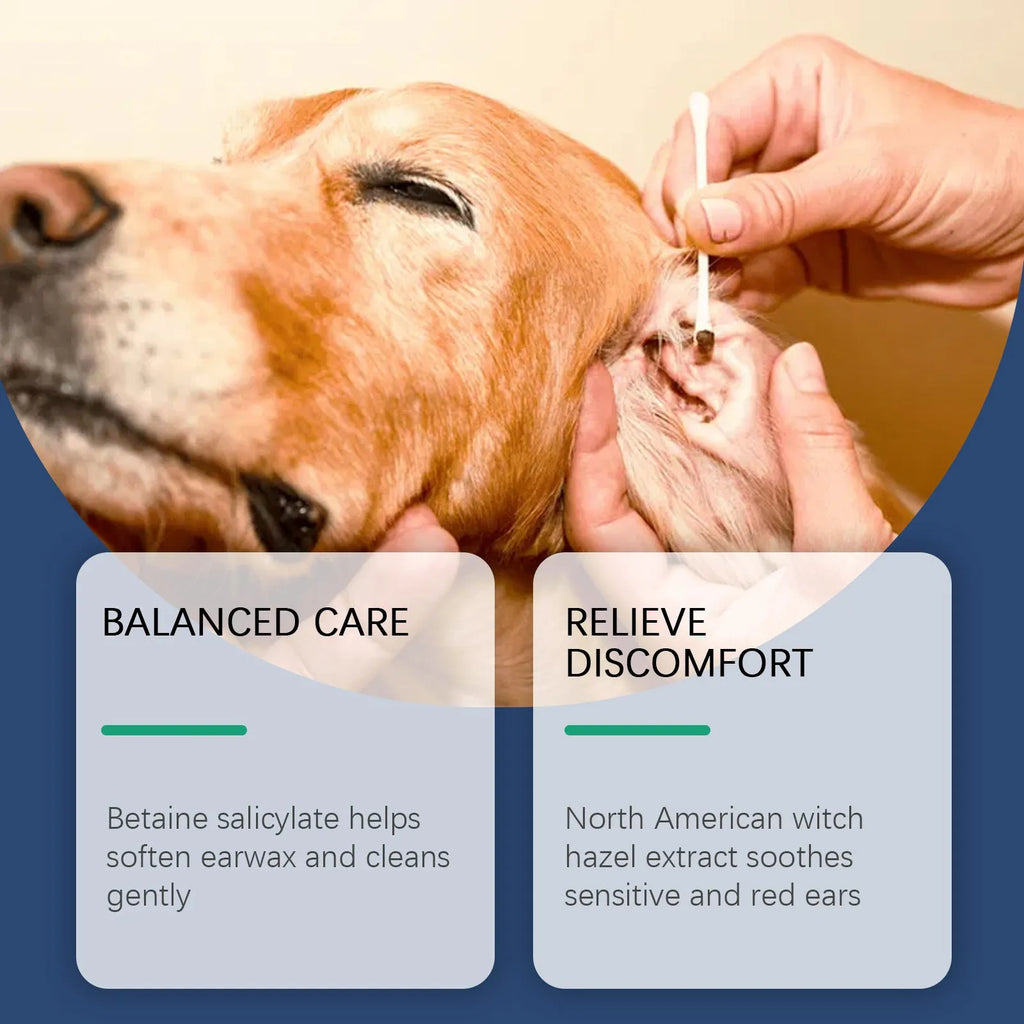 100ml bottle of ear cleaner solution for dogs and cats to remove earwax