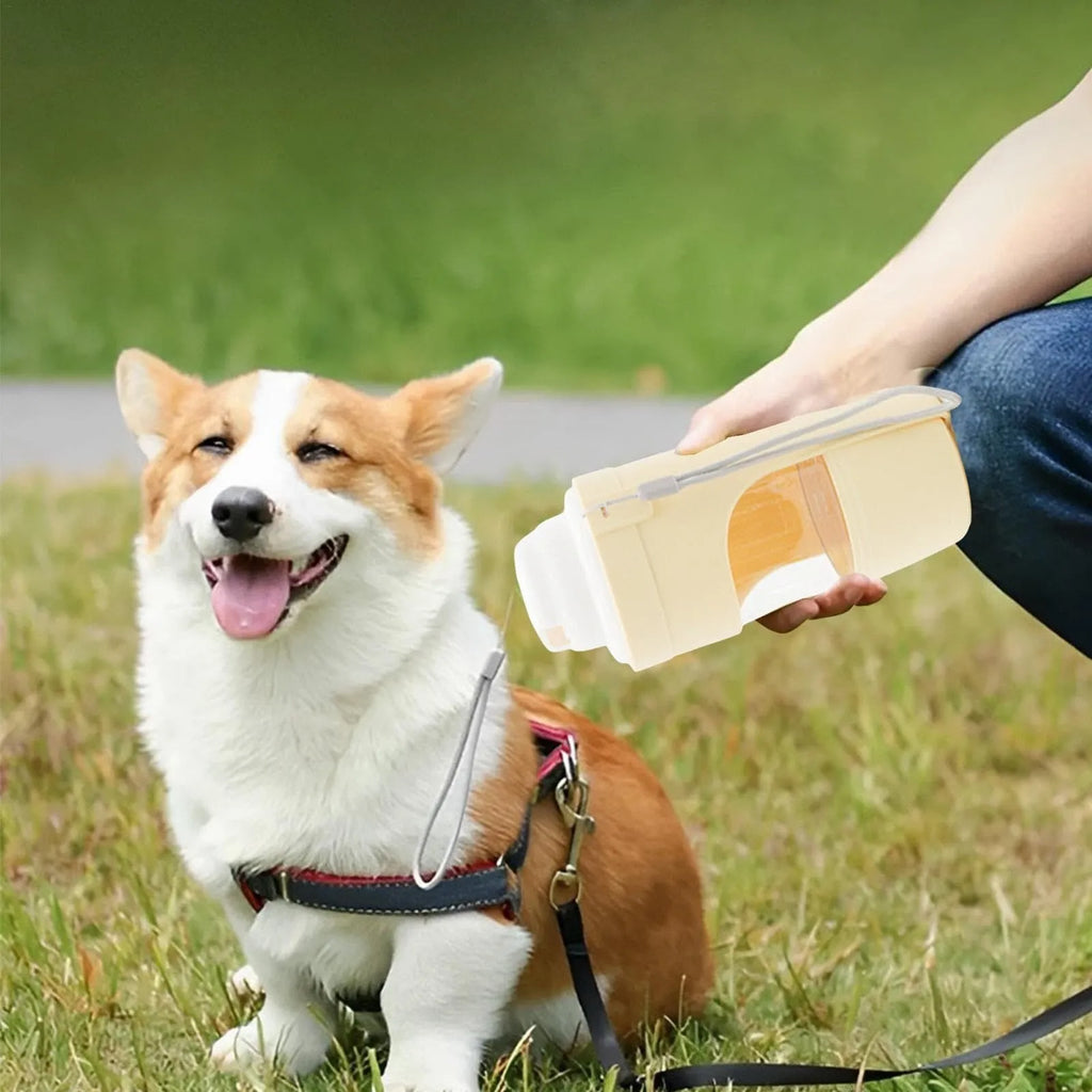 Grey portable 2-in-1 dog water bottle and feeder with drinking cup and lanyard