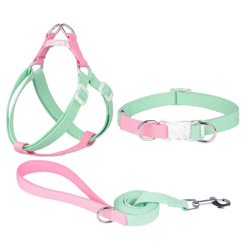 Polyester ribbon dog collar set showing collar, chest strap and traction rope in matching colours