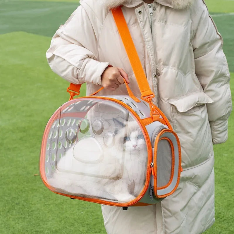 Transparent space capsule cat backpack in hard EVA material showing interior space