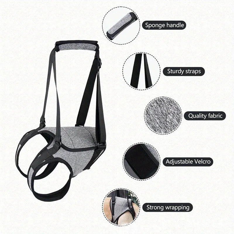 Adjustable neoprene dog rear leg recovery belt harness in grey colour
