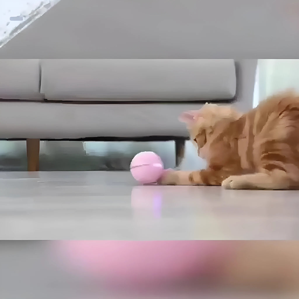 Electric cat toy with LED light and feather attachments in Pink colour on a white background
