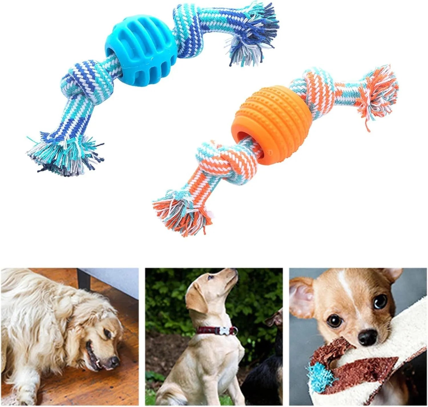 Blue soft dog chew toy in molar shape with integrated white ropes for dental cleaning.