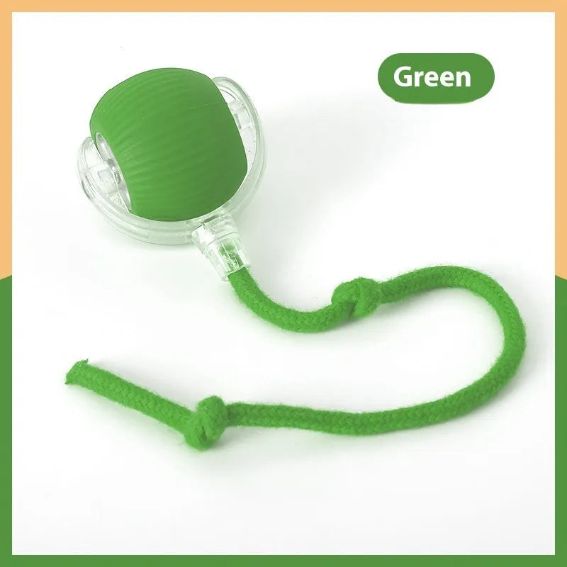 Interactive cat rolling ball toy in grey, green, and red colour options with automatic motion features