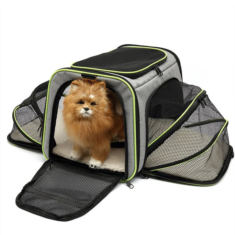 A cat carrier bag made from 600D cation fabric in a solid colour, shown in small and large size options.