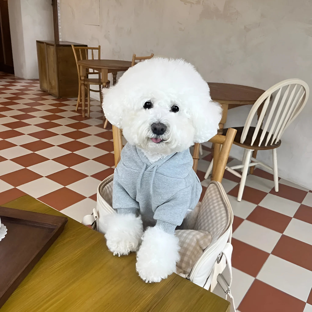 Gray hooded polyester sweater for small dog or cat, front view, size medium