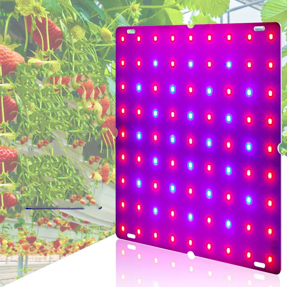 Full spectrum LED plant light with 81 beads for growing fruits vegetables and melons indoors