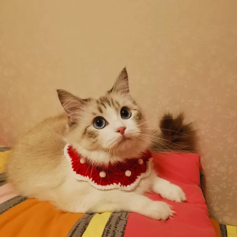 Knitted milk cotton pet collar with cartoon pattern in four sizes for small to medium dogs cats rabbits