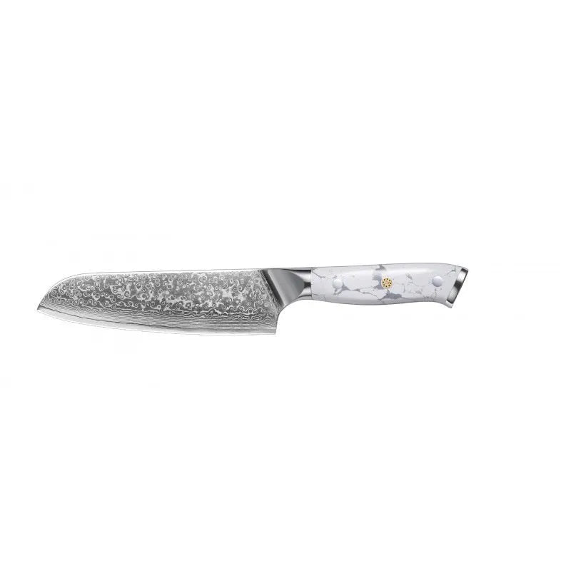 Damascus pattern chef knife with VG10 steel blade measuring 21cm, shown on a kitchen counter.