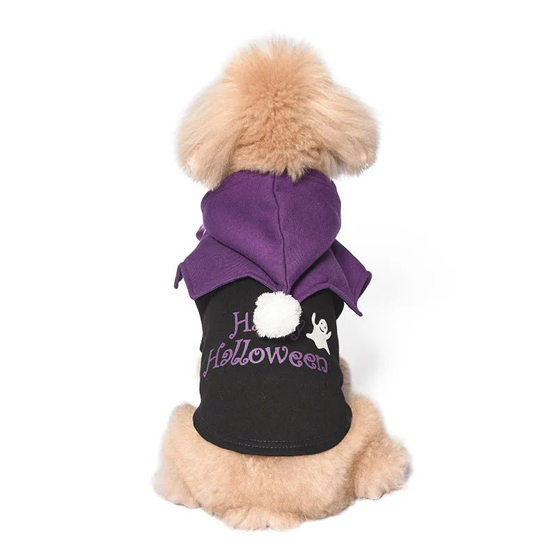 Halloween pumpkin costume on dog showing black and orange cotton sweater with matching shawl