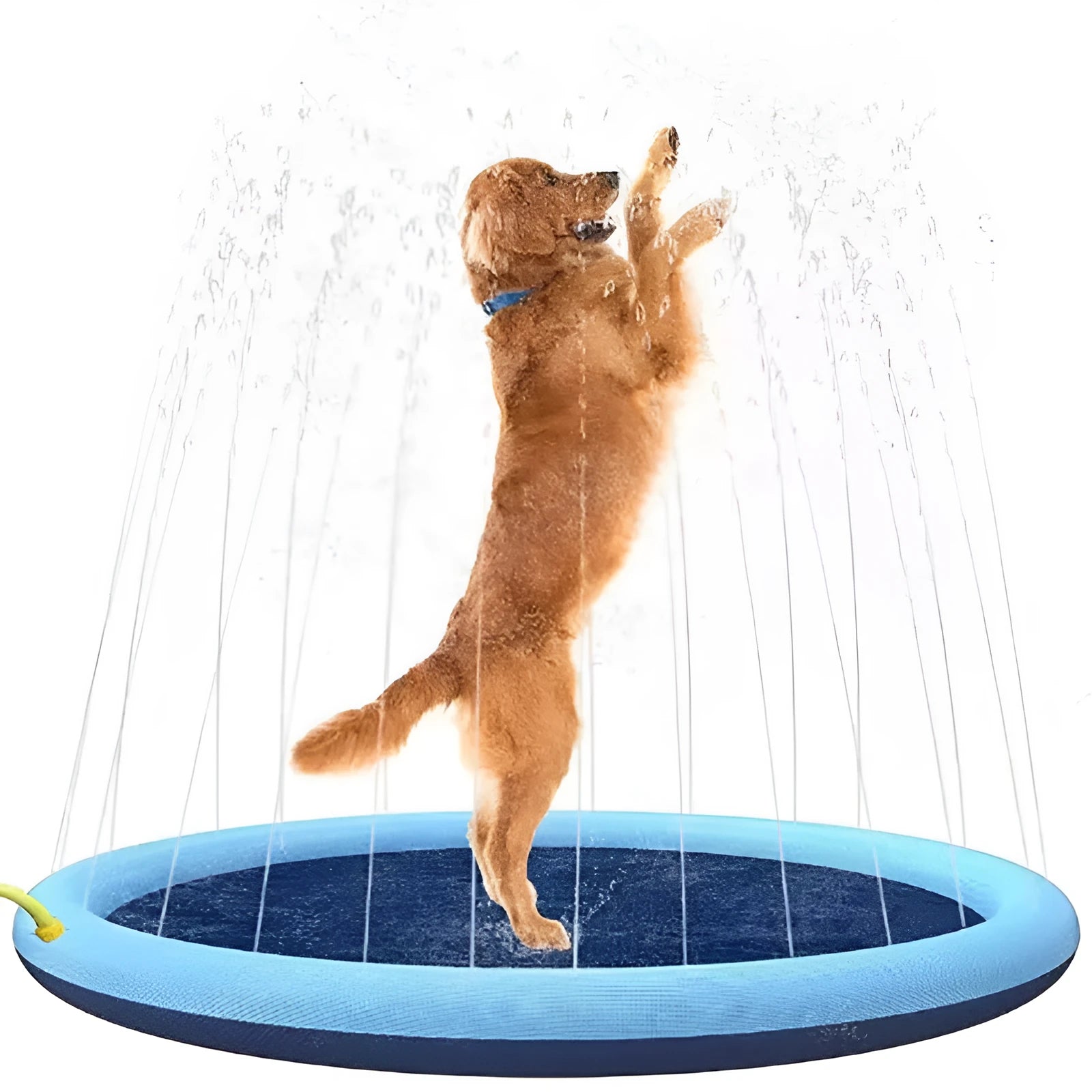 Anti-slip textured dog splash pad sprinkler mat for outdoor water play, shown in a garden.