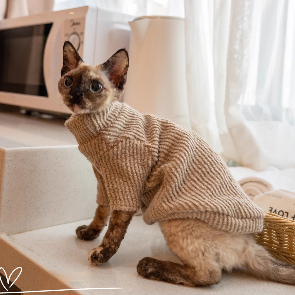 Plush lambswool buckle cat vest for small to large cats, brown sweater option on a cat