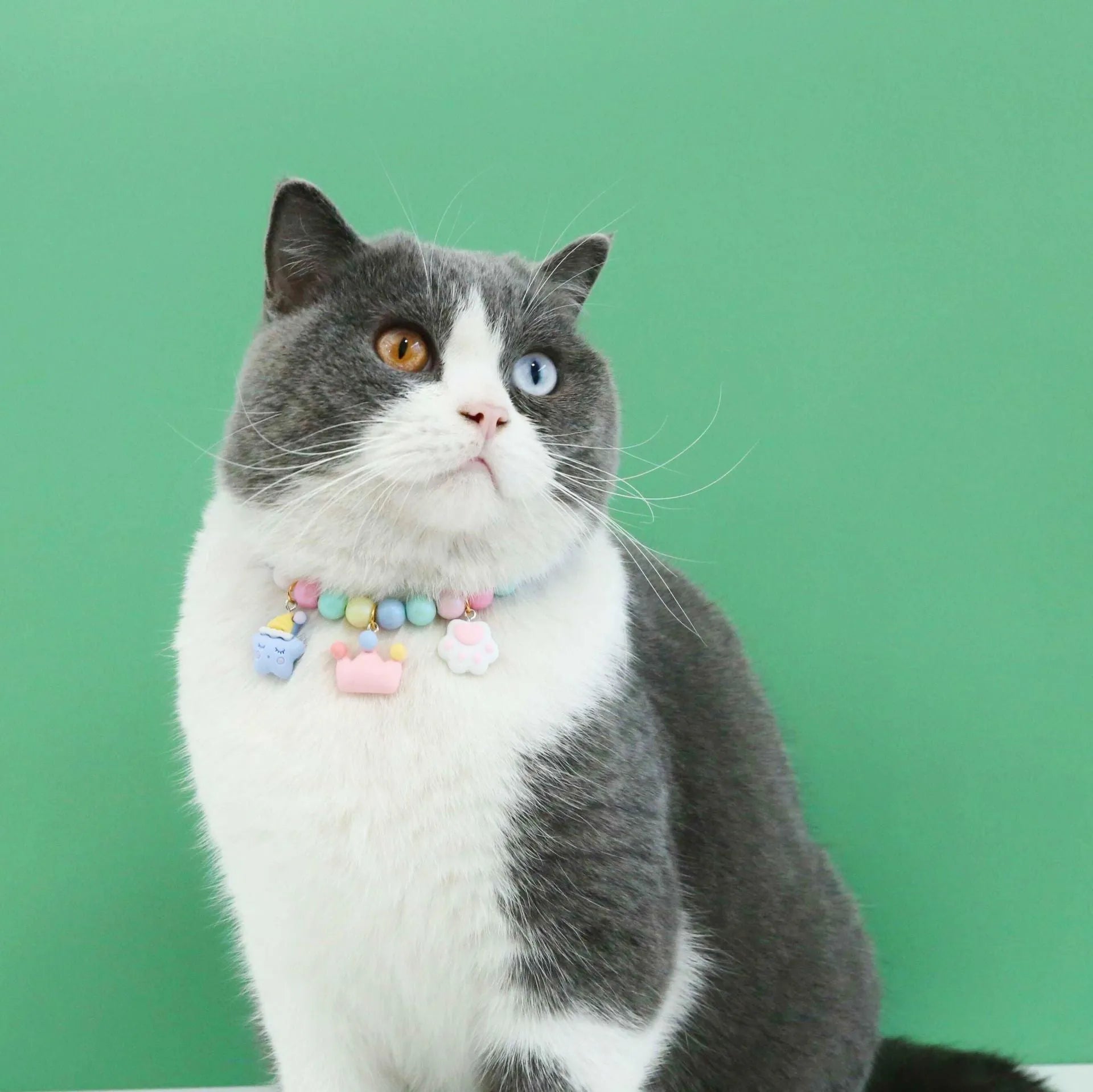 Macaron-coloured pet headdress and necklace set with resin charms in six designs for cats and dogs
