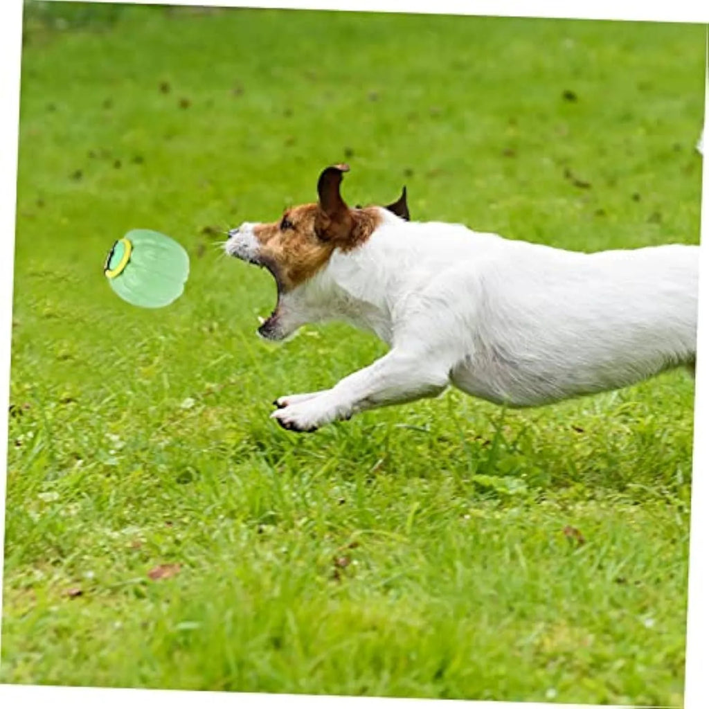 Plastic pumpkin-shaped dog chew ball with squeaker for small dogs in orange colour