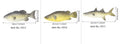 Three PU simulated fish ornaments showing yellow-fin tuna, small tuna and yellow croaker marine replicas
