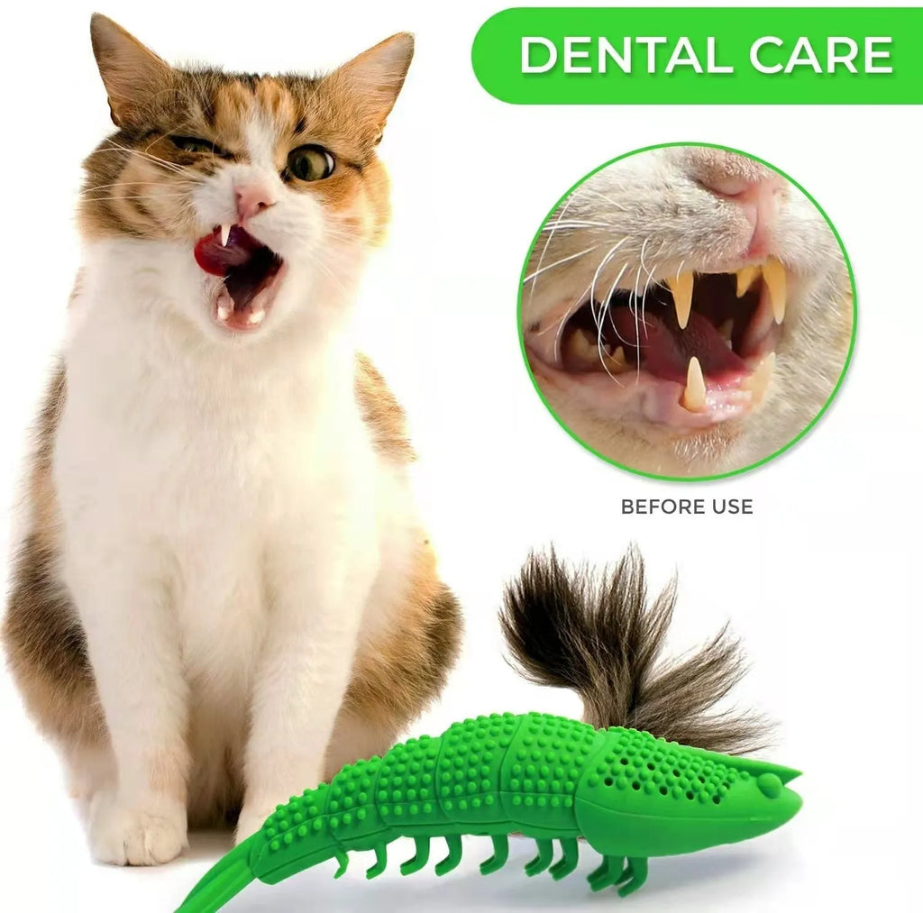 Blue hard rubber cat toy with textured brush surface for teeth cleaning, containing catnip and bell inside