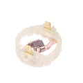 Carbon brush holder and end cover repair kit for 895 875 887 DC motors with screwdriver