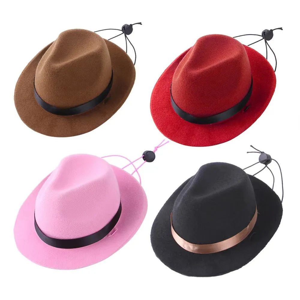 Handmade wool felt mini pet hat for small dogs and cats in S size with 155cm diameter