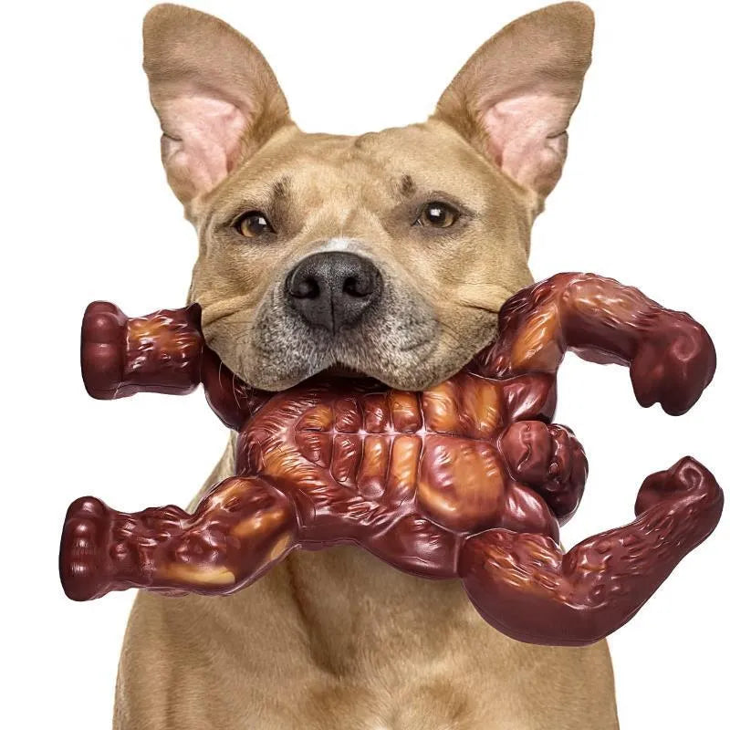 Scarlet beef flavour nylon dog chew toy for molar cleaning, size 10.7x17.2x5cm.