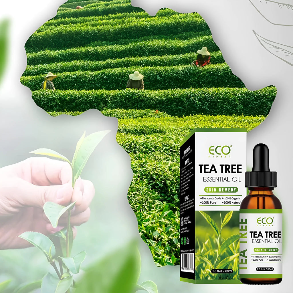 60ml tea tree essential oil bottle for acne treatment massage