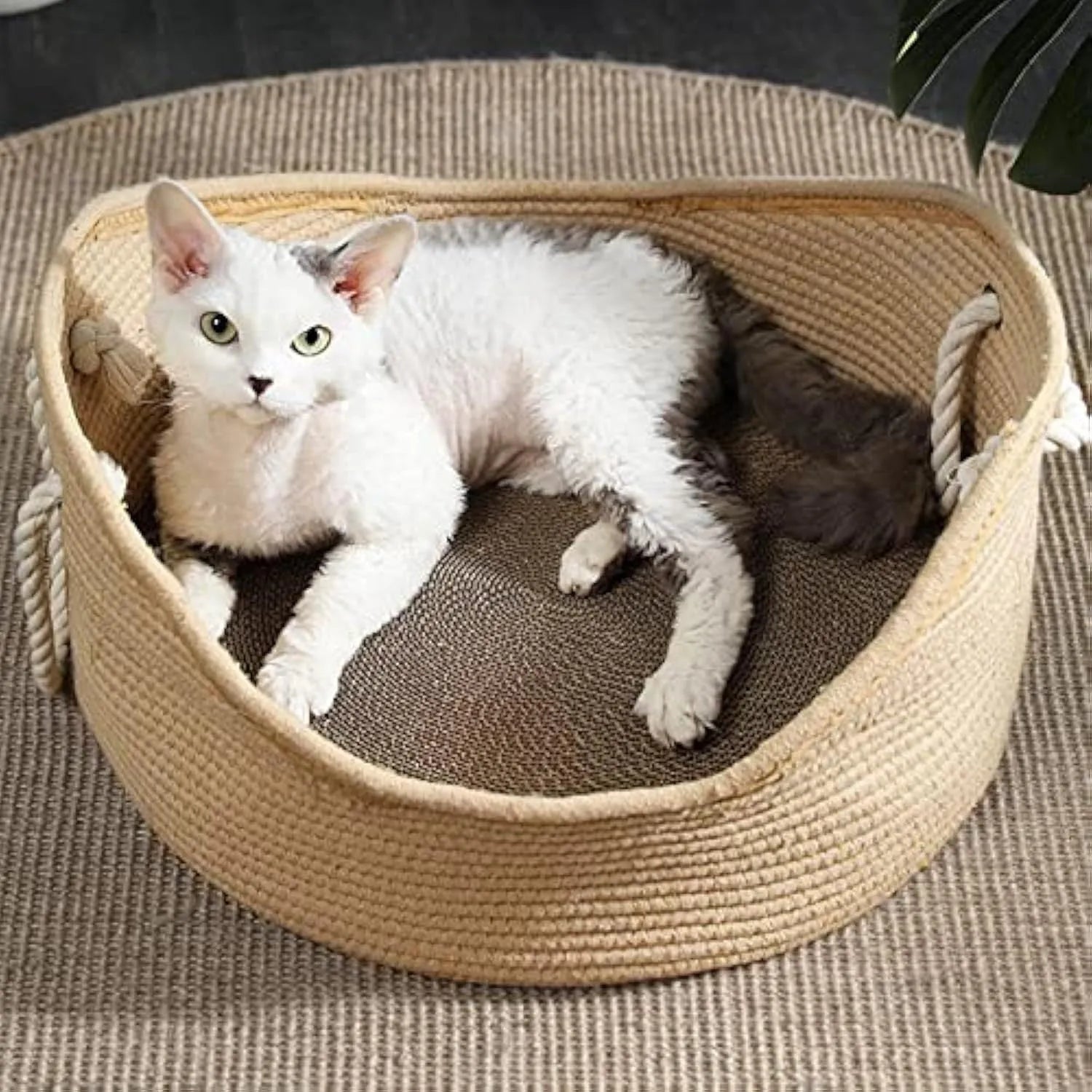 Woven wicker cat basket bed with integrated corrugated scratching surface showing two size options