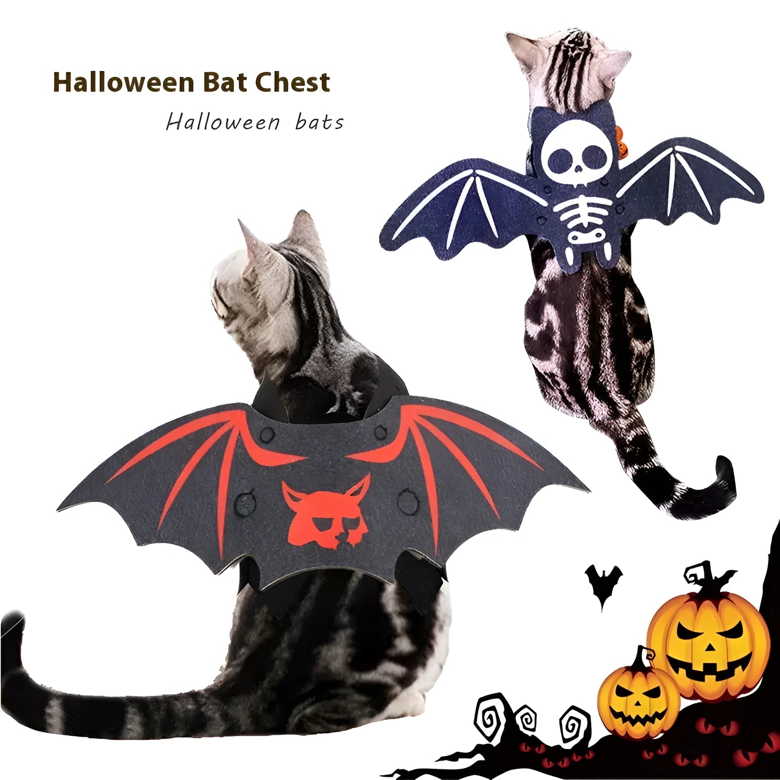 Black felt batwing Halloween costume for a cat, shown in pumpkin bat design