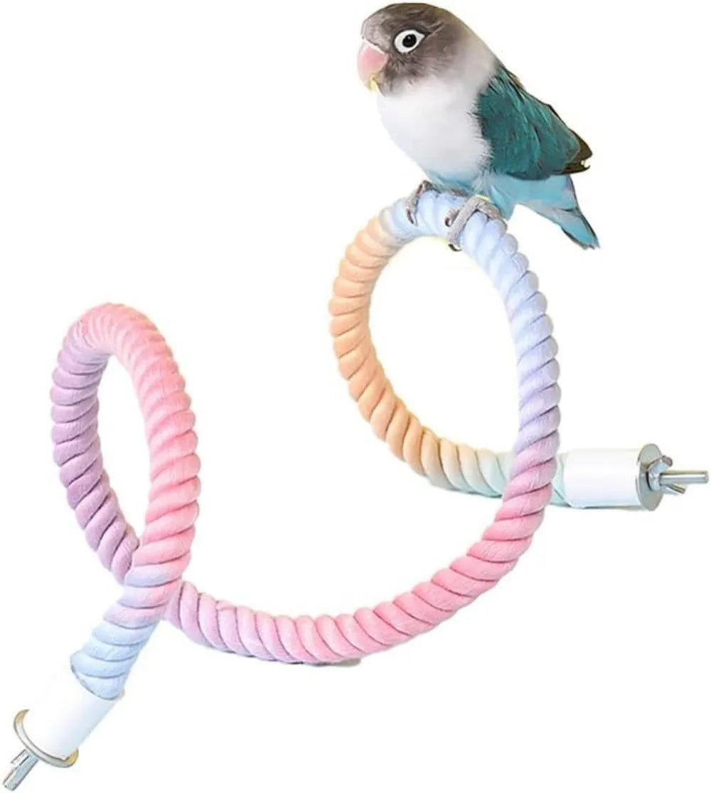 Gradient colour bird rope perch with U-shape and circular swing on a cage