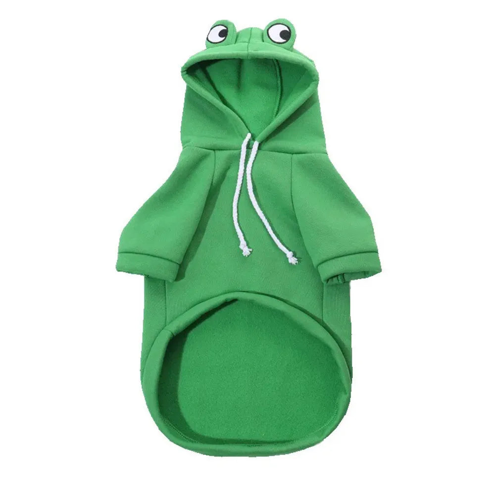Green frog costume hoodie on a small dog, showing long sleeves and hood