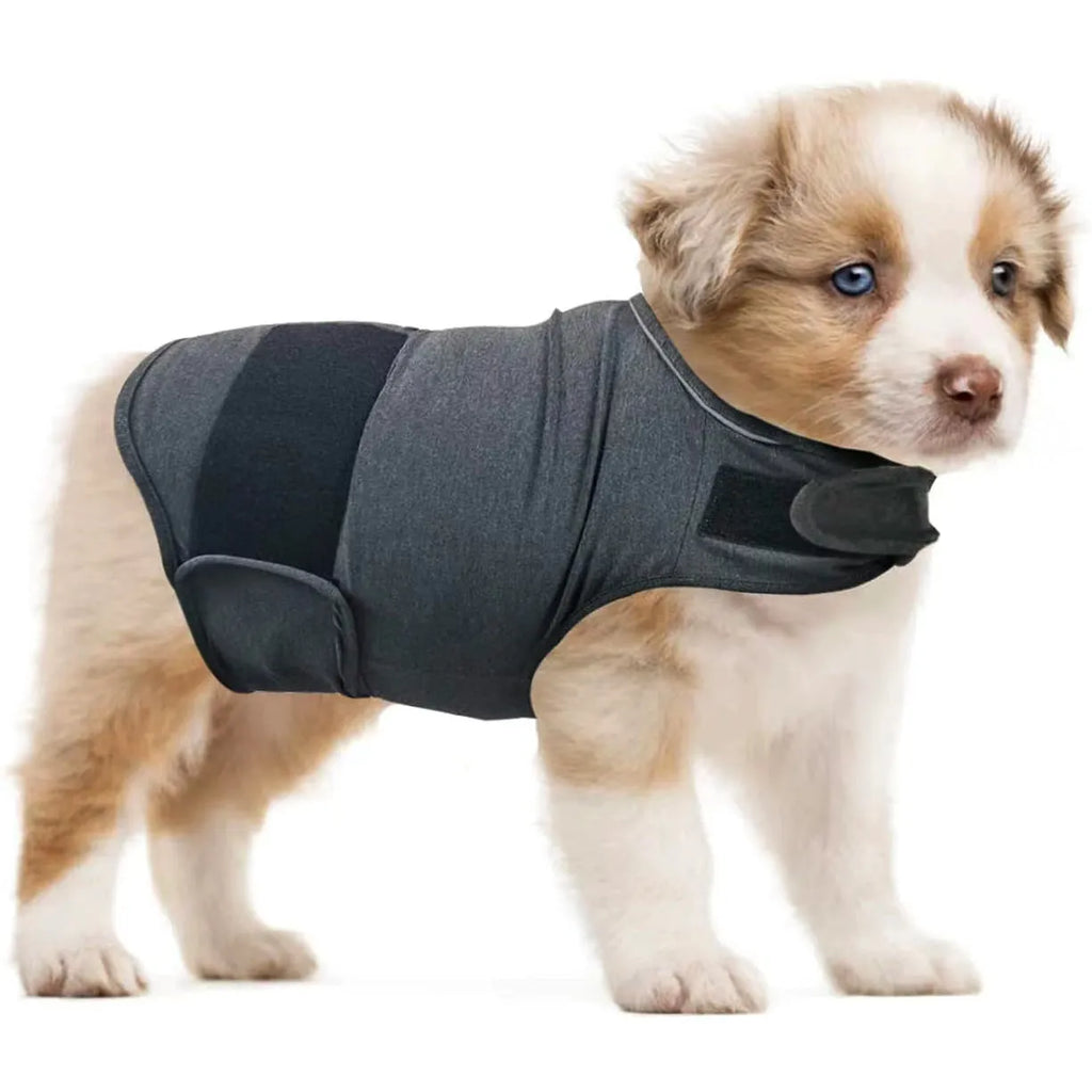 Dog wearing brocade cotton calming tank top in light grey colour for anxiety relief