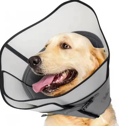 Adjustable polyester pet sterilization collar ring in a casual style, shown in size L.
