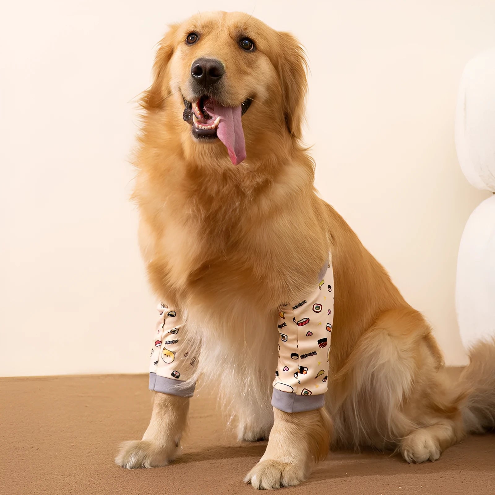 Blue dog knee brace with elbow padding and matching scarf shown on medium-sized dog