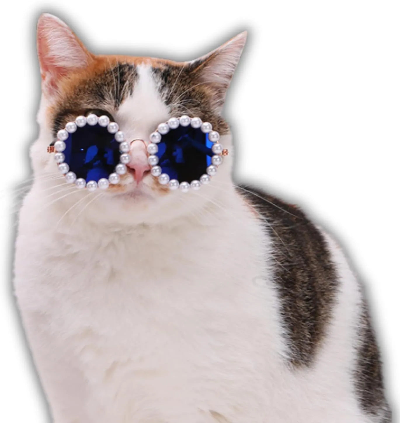 Pearl-rimmed round sunglasses for cats and dogs in multiple colours on a pink background.