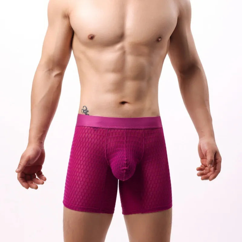 Men's lace mesh boxer shorts in geometric pattern with low waist design in five colour options