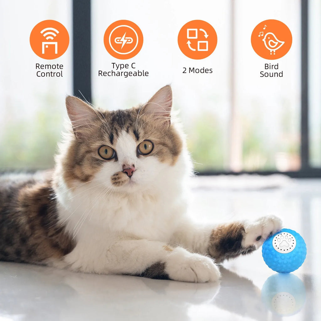 Remote control cat ball toy in blue colour with rolling movement
